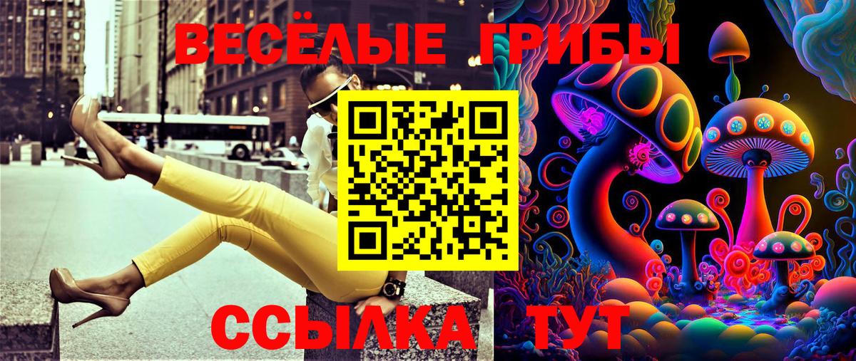 Галлюциногенные грибы прущие грибы Стрежевой
